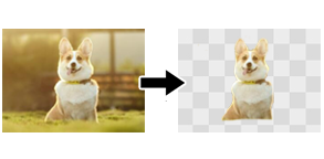 配置画像の切り抜き機能