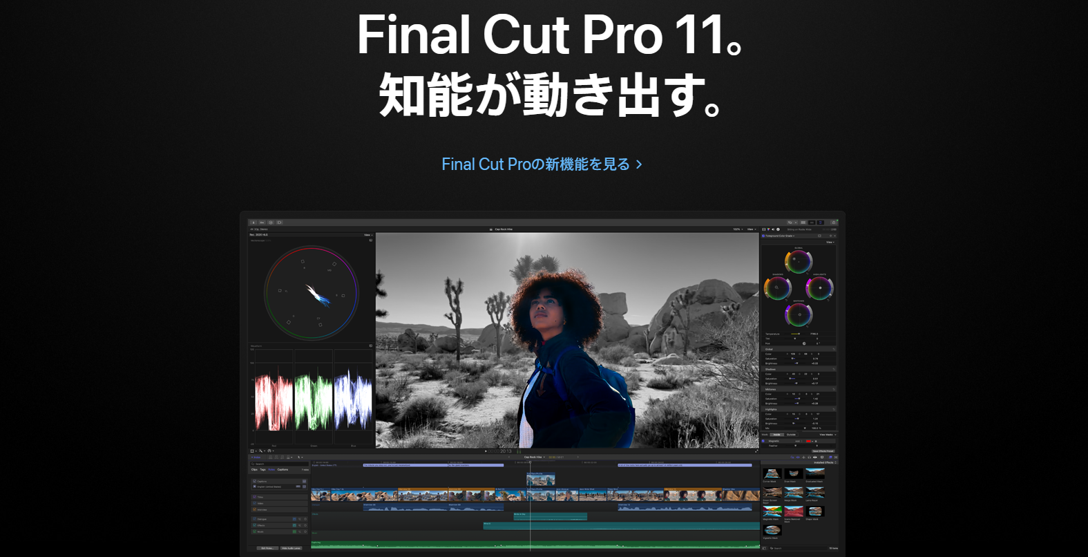 動画 編集 おすすめ mac