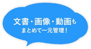 文書・画像・動画もまとめて一元管理!