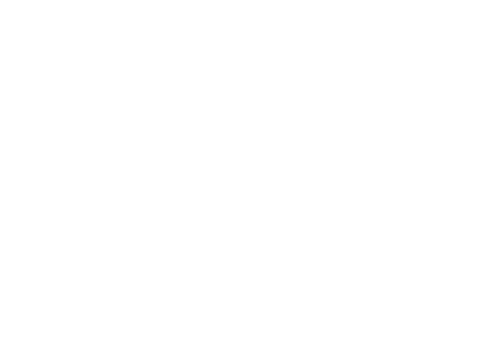 CONSALTING SUPPORT