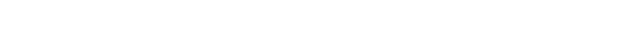CONSULTING SUPPORT